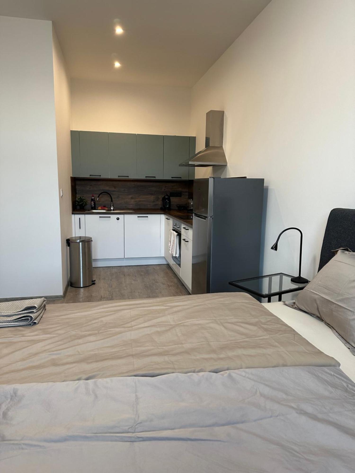 Apartman Palackeho Tábor Εξωτερικό φωτογραφία